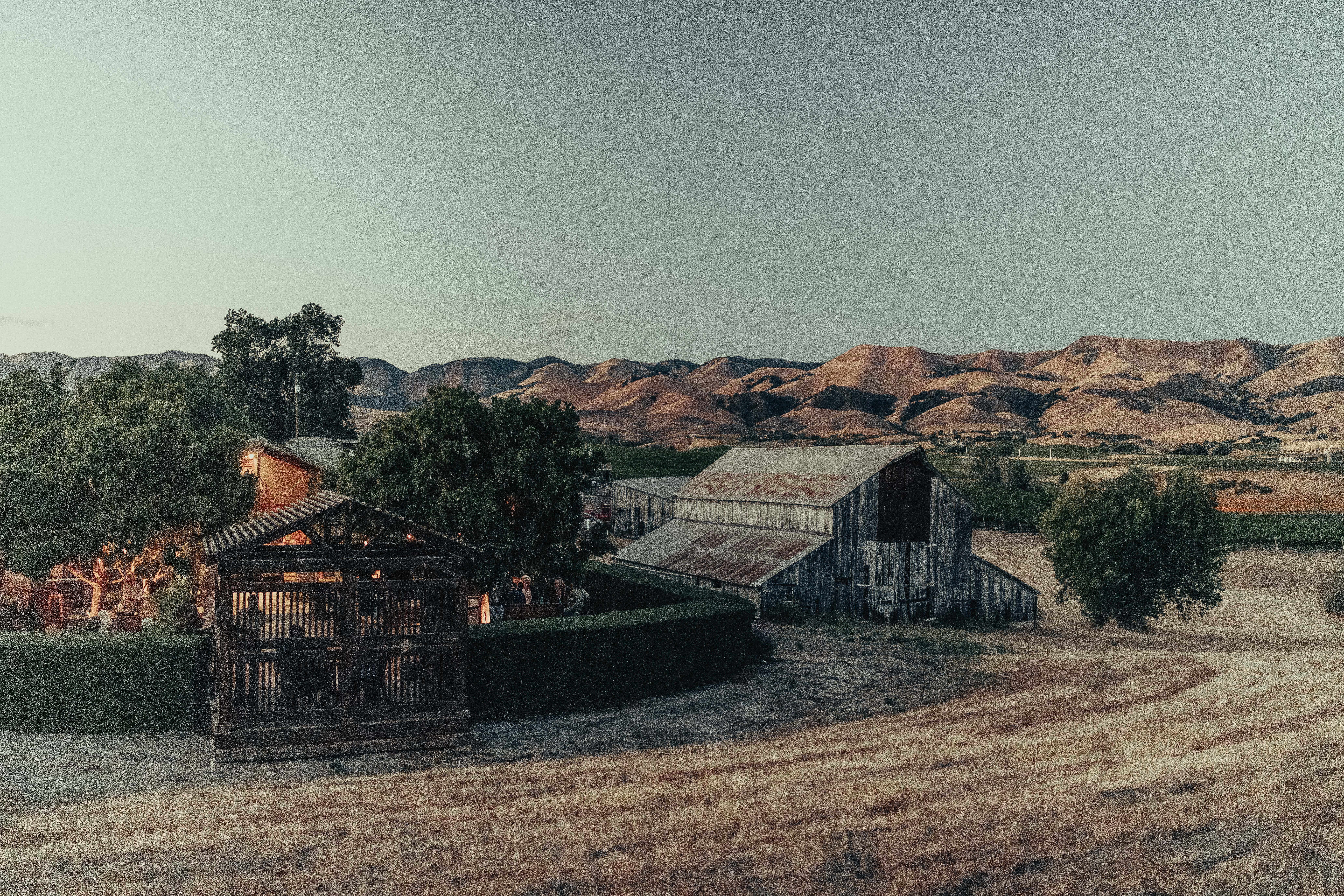 Kynsi Winery